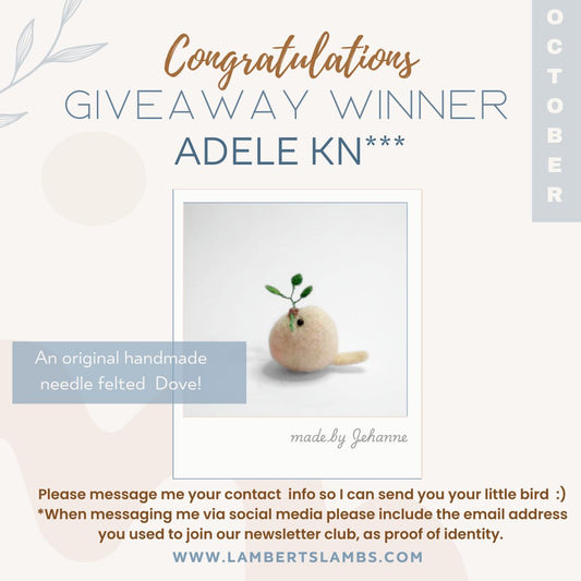October GiveAway Winner!!!