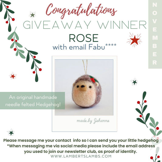 November GiveAway Winner!!!