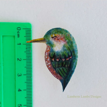 Tropical Bird Brooch/ Pin, Modern hand painted Bird Brooch Pin - Dark