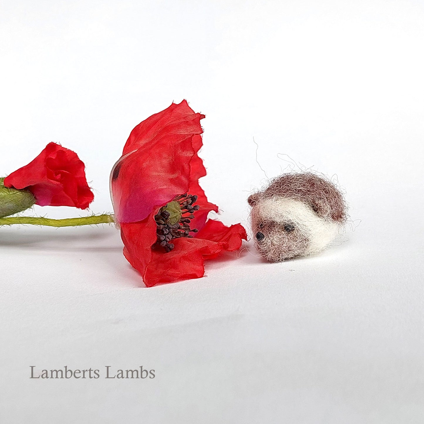 Whimiscal miniature needle felted wool hedgehog