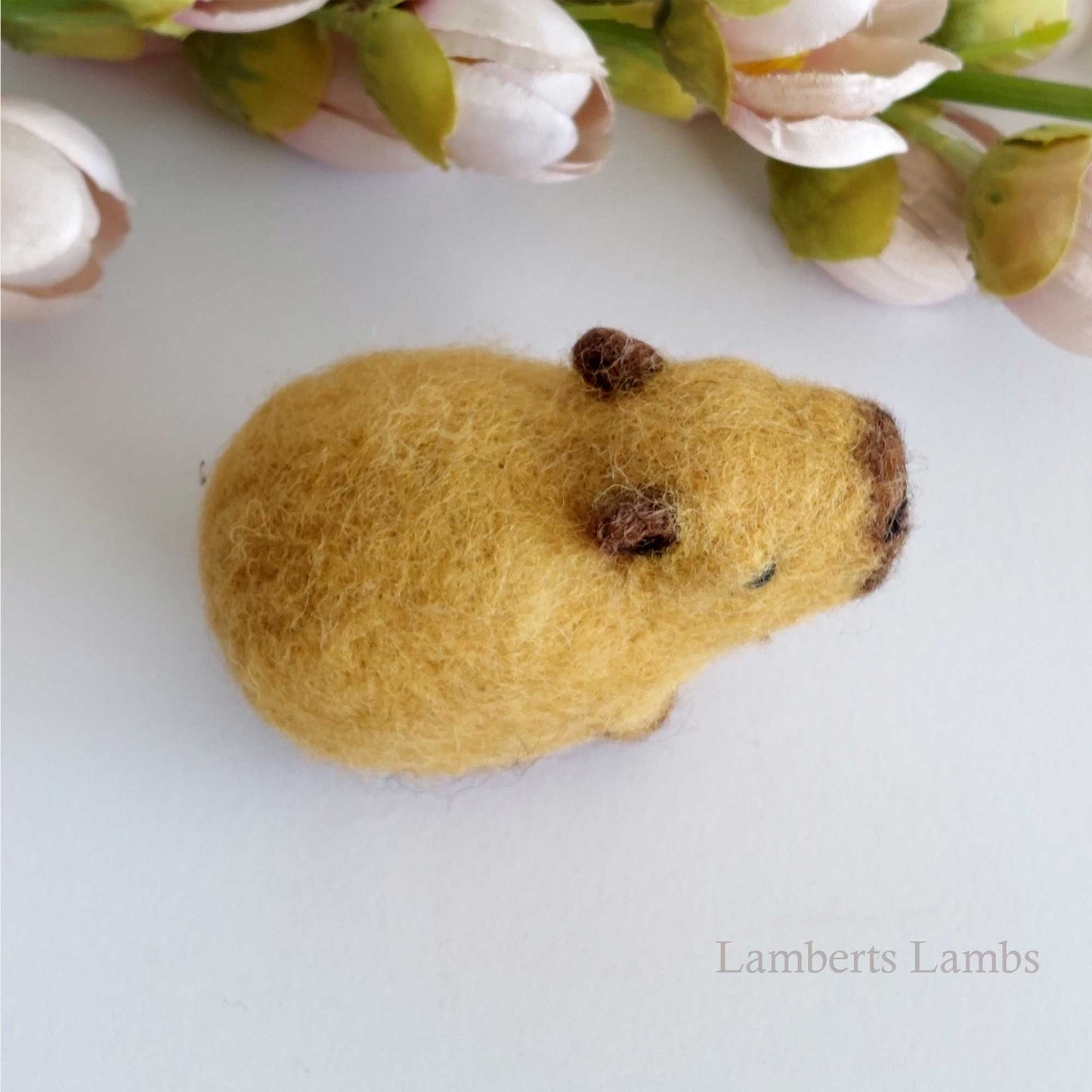 Needle felted Capybara
