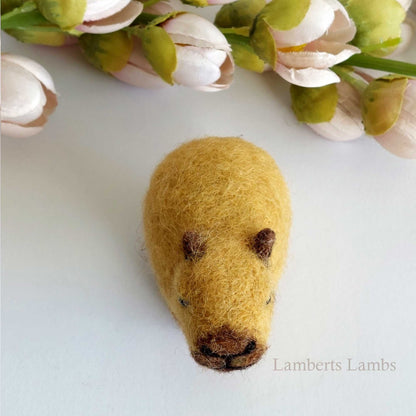 Needle felted Capybara