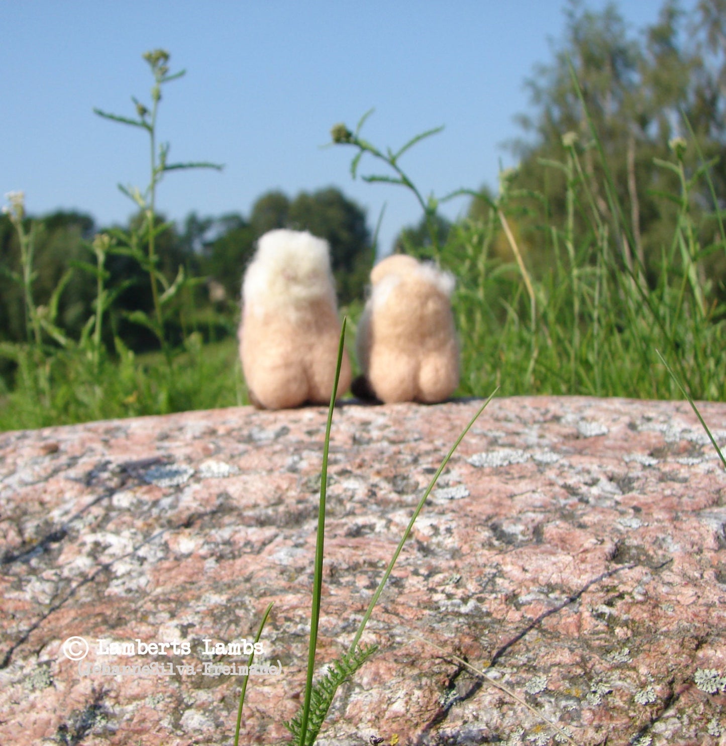 Needle Felted Gnome Nature's Babe