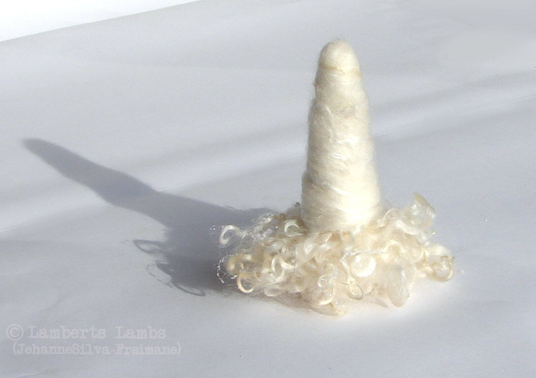 Needle Felted Gnome. Winter Tomte