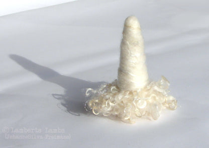 Needle Felted Gnome. Winter Tomte